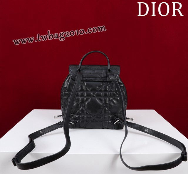 Dior专柜新款迪奥高仿原单女士双肩背包D007-006 djfk1593